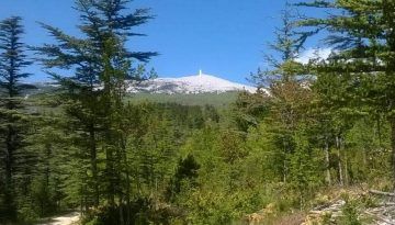 mont ventoux · reserva de la biosfera