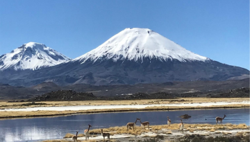 RB_Lauca_Chile_Montaña