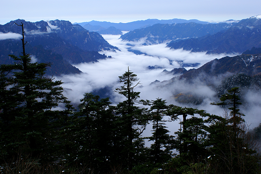 shennongjia (1)