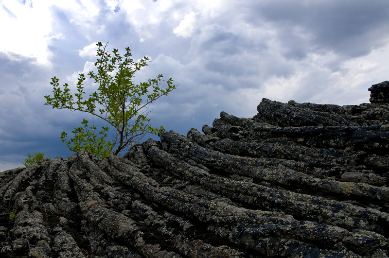 火山杨Aspen