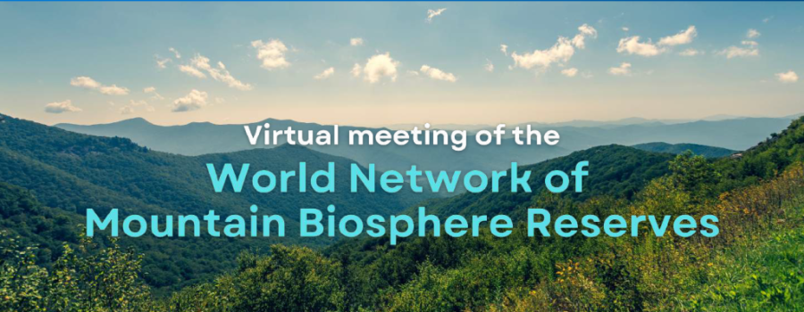 Virtual-Meeting-26th-June