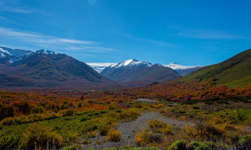 Reserva Nacional Ñuble
