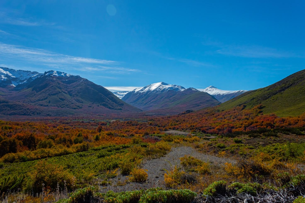 Reserva Nacional Ñuble