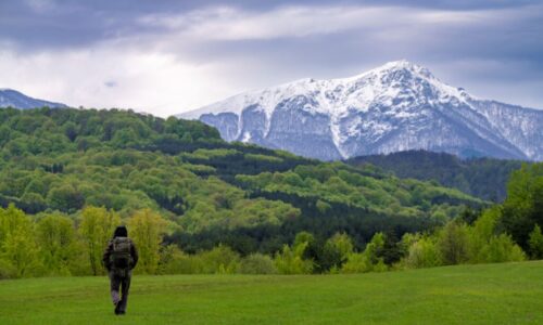 The tree zones of Central Balkan BR