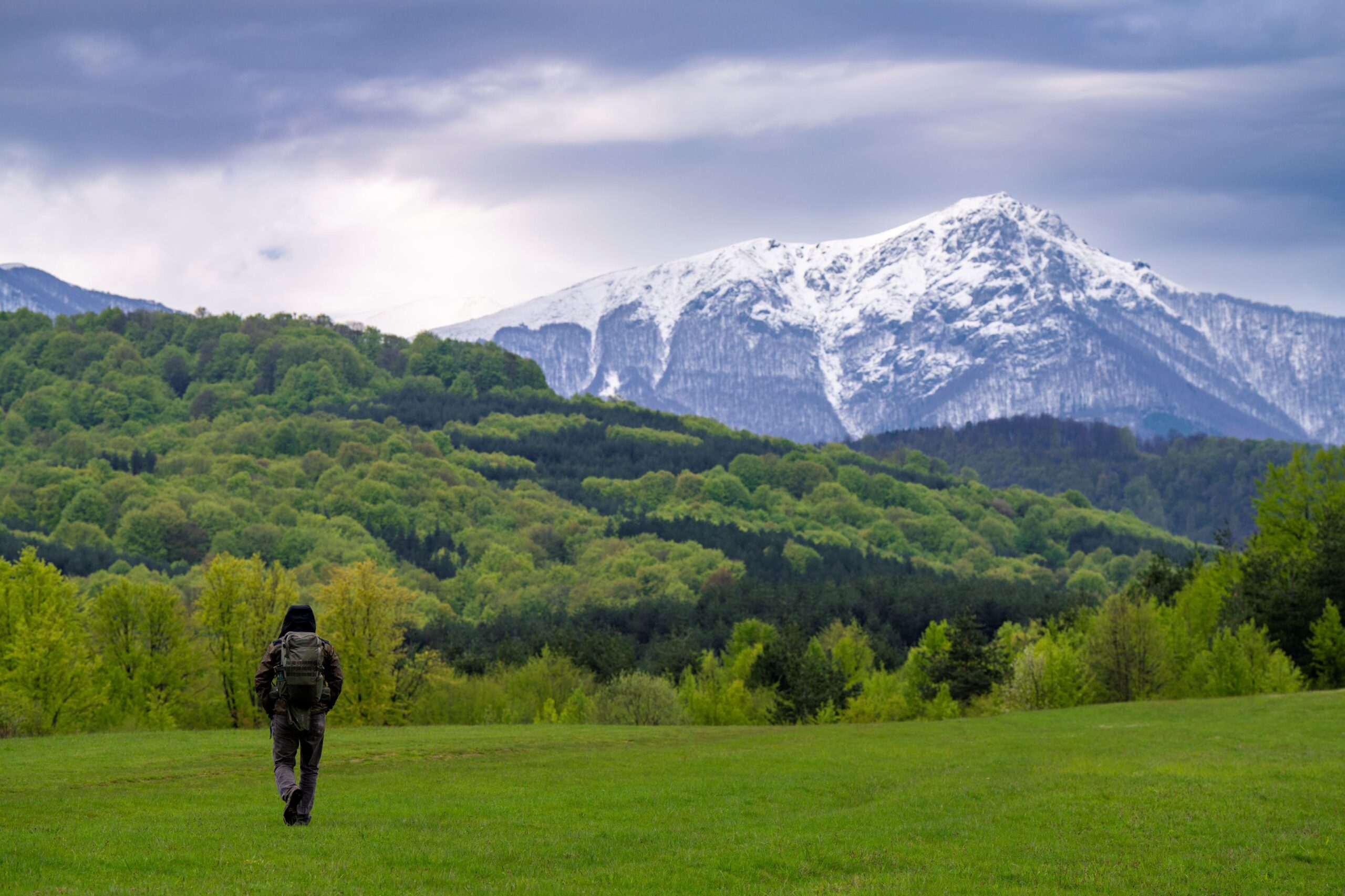 The tree zones of Central Balkan BR