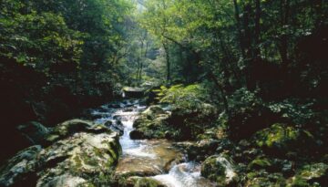大老岭保护区药王溪